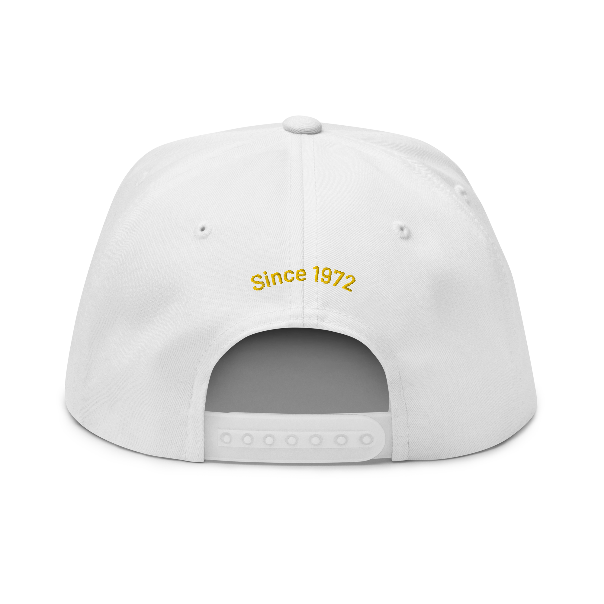 Flat bill baseball cap sales