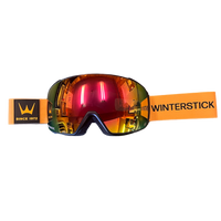 Winterstick Goggles by AVALON7